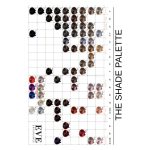 EVE Experience - Image 4